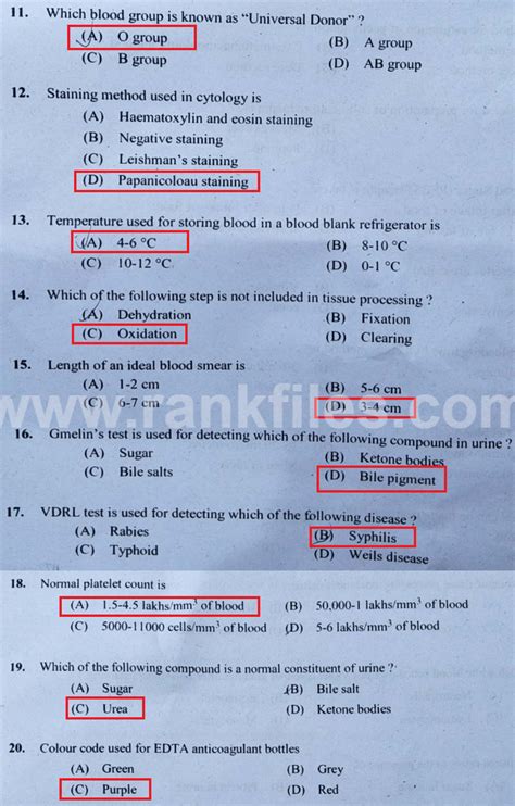 Lab Assistant Model Question 的图像结果