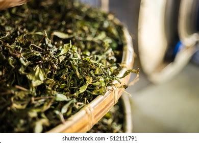 Image result for Simple Tea Making Process Picture