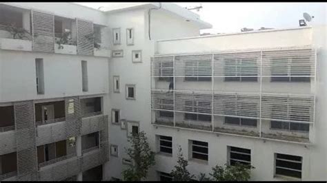 Bird Net Installation Service - Transparent Anti Bird Net Service ...