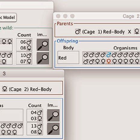 Virtual Lab Genetics 的图像结果