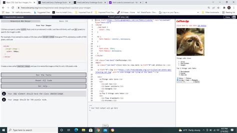 Image result for HTML Course Freecodecamp