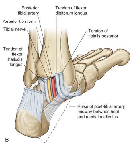 Hip Hop Dance Tutorial 的图像结果