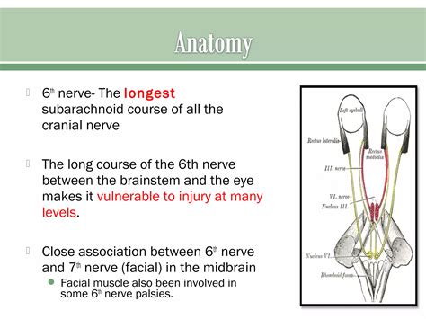 Sixth nerve palsy | PPT