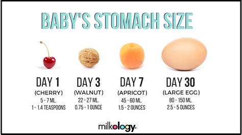 11 Breastfeeding Infographics You Should See — Milkology®