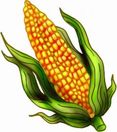 Corn Clipart by Corn Clip Free Clipart Panda Free Clipart Images Corn Clipart