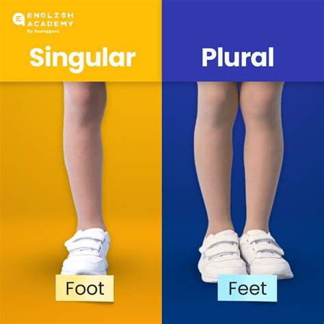 Feet And Foot Plural