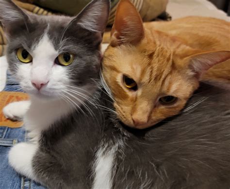 Jim Morrison & Janis Joplin - WBBJ TV