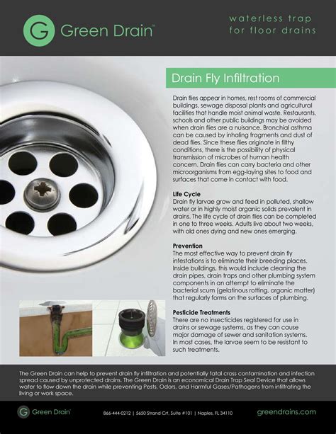 Green Drains Floor Trap Seal - Choose Sizes BUY ONLINE – Easy Pest Supplies