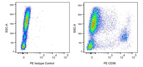 PE Mouse Anti-Human CD36