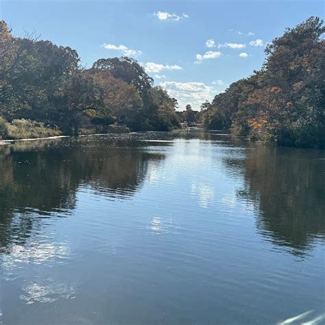 LAKE GERAR TOT LOT Guide (2026) All You Need to Know BEFORE You Go ...