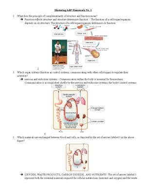 Image result for Complementarity of Structure and Function
