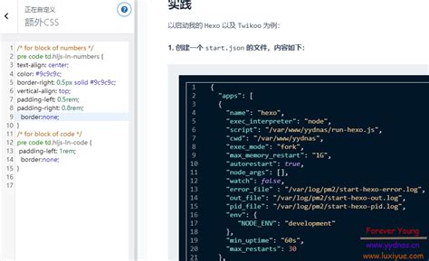 Function Highlight in JavaScript 的图像结果