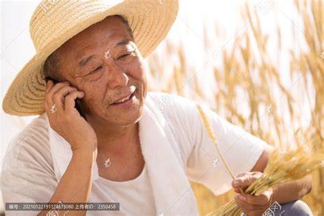 老农民在农田里打电话,,,摄影,汇图网www.huitu.com