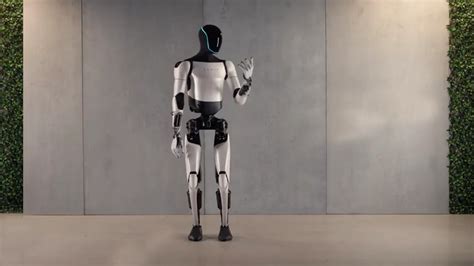 Tesla New Robot 的图像结果