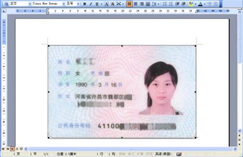 证件照打印软件-证件照打印排版-打印证件照-神奇证件照片打印软件