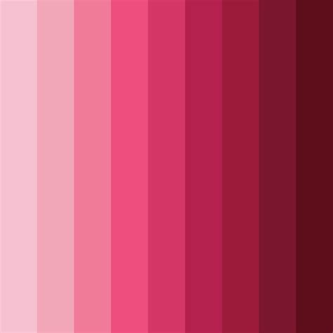Raspberry Shades Color Palette - ColorDrop