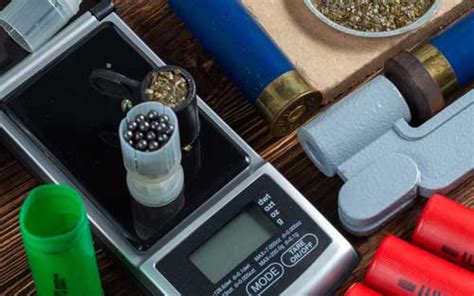 Reloading Scale Reviews 的图像结果