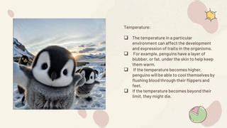 Image result for Environmental Variation Examples