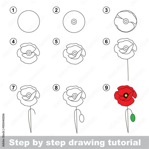 Image result for Easy Draw Poppy