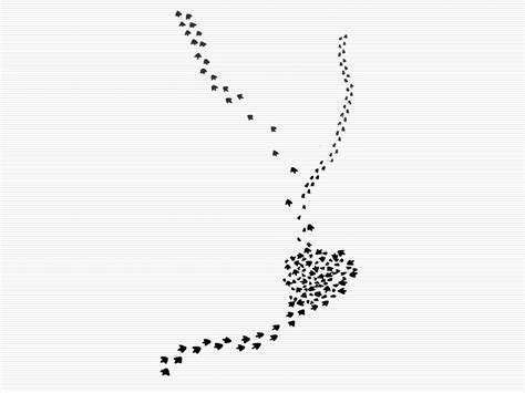 Inference Observation 的图像结果