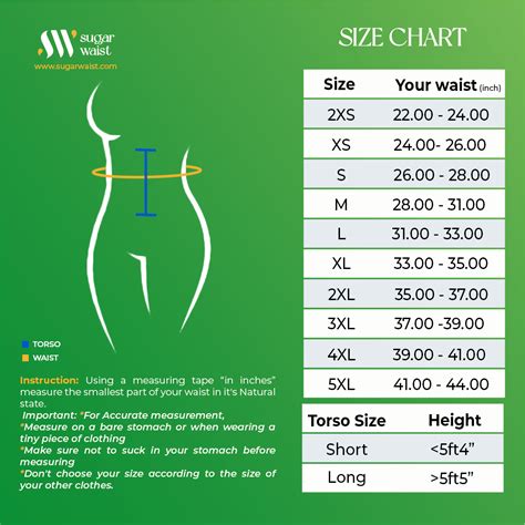 How to Know your Waist Trainer Size – Sugar waist