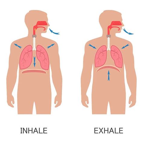 Inhalation Process 的图像结果