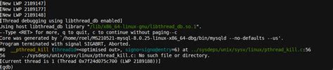 GDB Debug 的图像结果