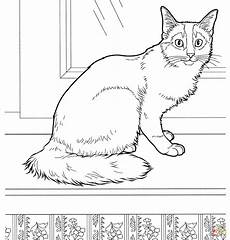 ausmalbilder lustige katzen ausmalbilder katzen malvorlagen kostenlos zum ausdrucken ausmalbilder lustige katzen ausmalbilder katzen malvorlagen kostenlos zum ausdrucken