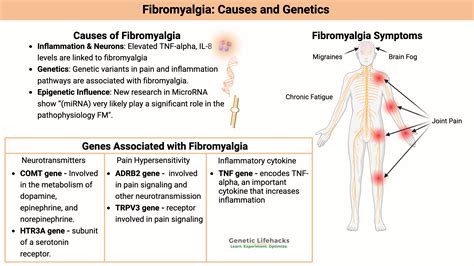 Fibromyalgia: Underlying Causes and Genetic Connections