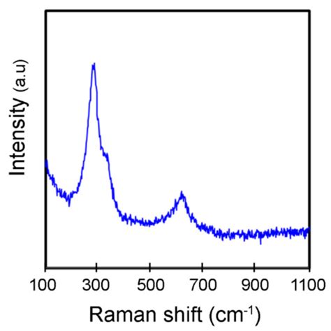Muntingia calabura Leaves Mediated Green Synthesis of CuO Nanorods ...