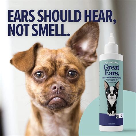 Can You Make Your Own Dog Ear Cleaning Solution