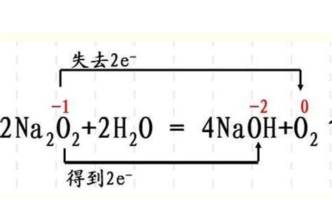 【知识点】化学方程式大全-电离方程式