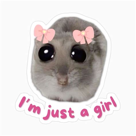 Pin by Luana_martins on Os teus Pins | Funny laptop stickers, Cute ...