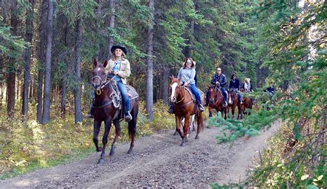 Free Images : country, recreation, rural, ranch, horseback, lifestyle ...