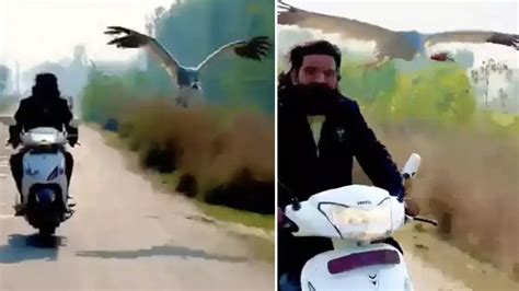 Man Saves a Bird, It Now Always Flies Along His Scooter » Car Blog India