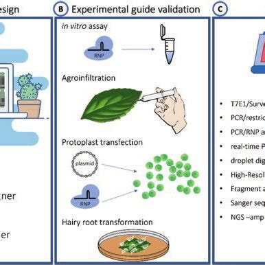 Image result for CRISPR Tutorial