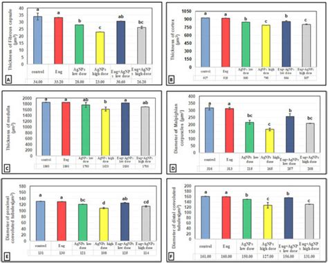Modulation Effects of Eugenol on Nephrotoxicity Triggered by Silver ...
