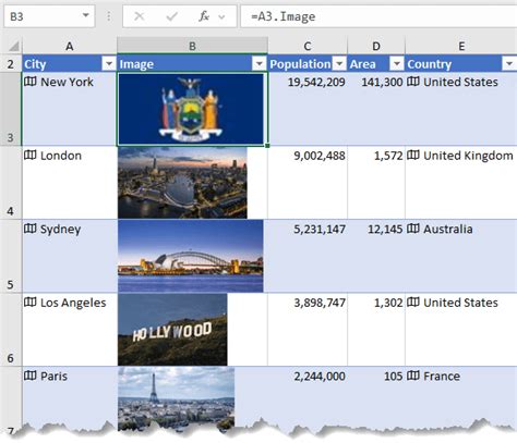 Image result for Excel PivotTable Image