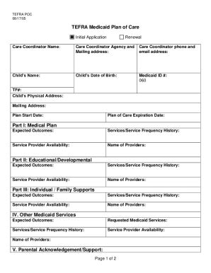 Fillable Online TEFRA Medicaid Plan of Care Form. TEFRA Medicaid Plan ...