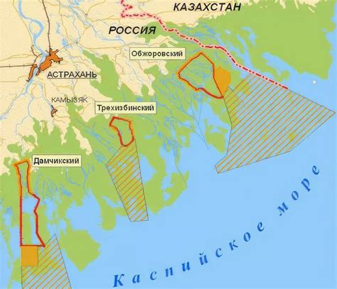 10 фактов про Астраханский заповедник