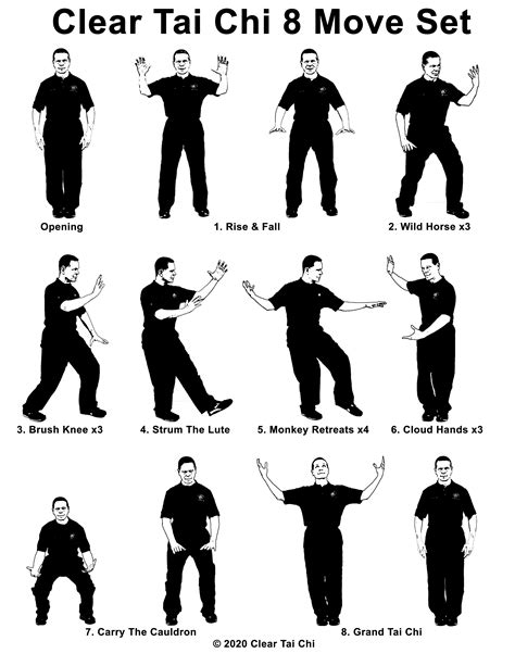 Image result for Tutorial On Tai Chi