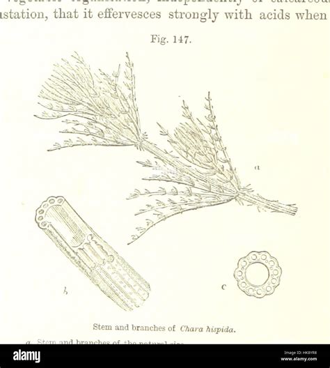 Image result for Geological Principles