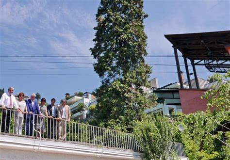 Seilbahn Jenesien: Neu und leistungsstärker auf gleicher Trasse ...
