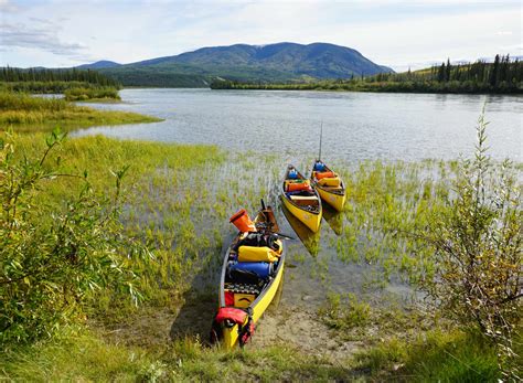 Enjoy an unforgettable Yukon River Canoe Trip to Carmacks