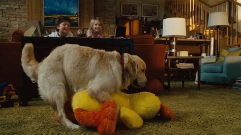 Image result for Click 2006 Changing Color