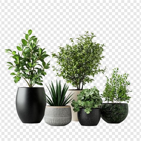 Planten Afbeeldingen - Gratis downloaden op Freepik