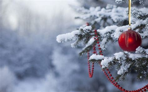 Christmas Snow Background 的图像结果