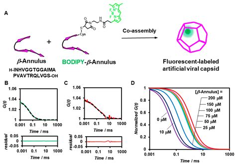 Fluorescence Correlation Spectroscopy Analysis of Effect of Molecular ...