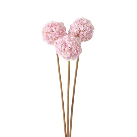 Sullivan's Artificial Pink Allium Spring Bunch
