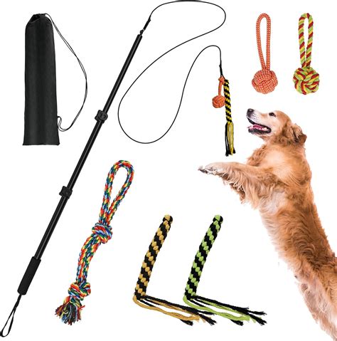 Flirt Pole for Dogs, Extendable Dog Flirt Pole with Detachable ...